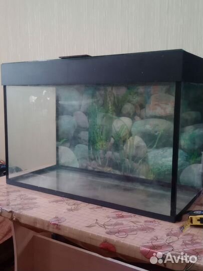 Аквариум
