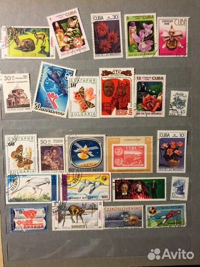 Альбом марок