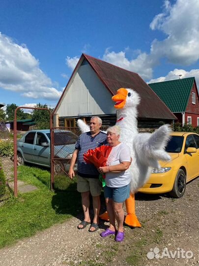 Гусь ростовая кукла