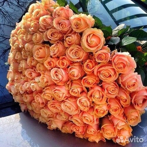 Роза букеты