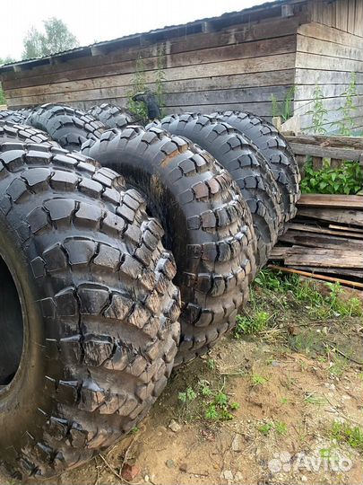 Шины ураган В-77