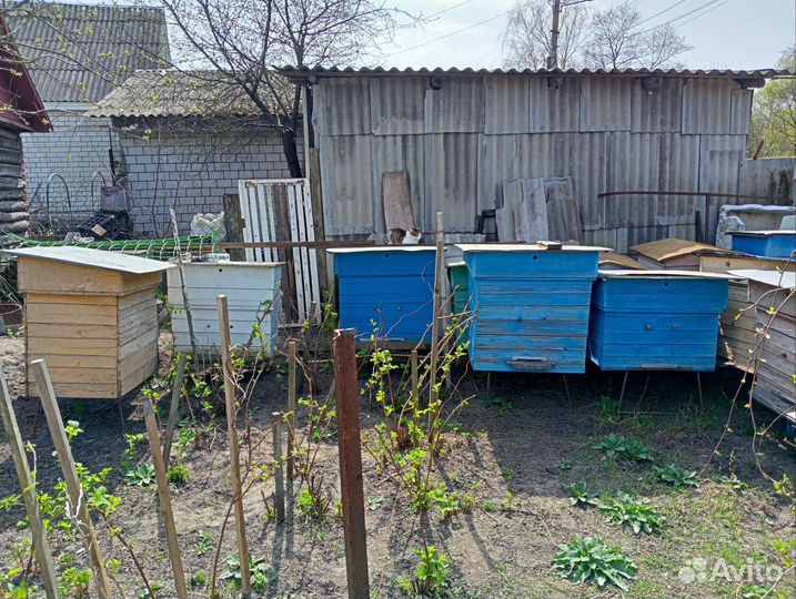 Улей для пчел бу