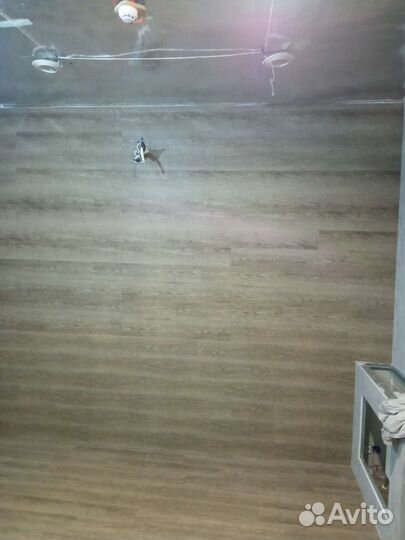 Муж на час или человек универсал