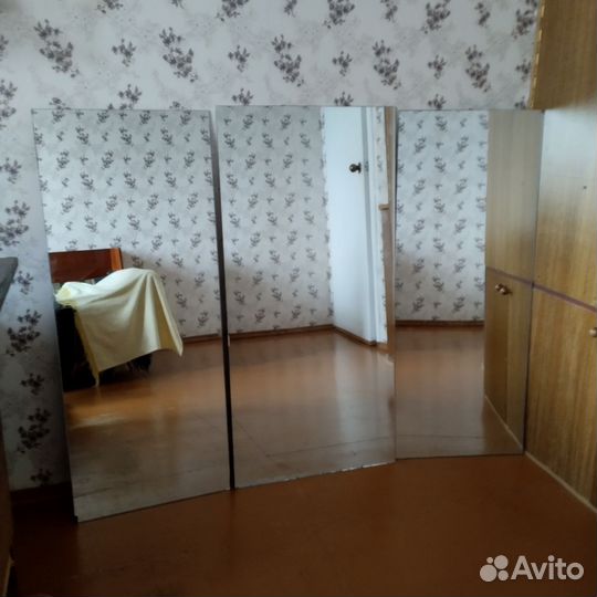 Зеркальные полотна 49*101