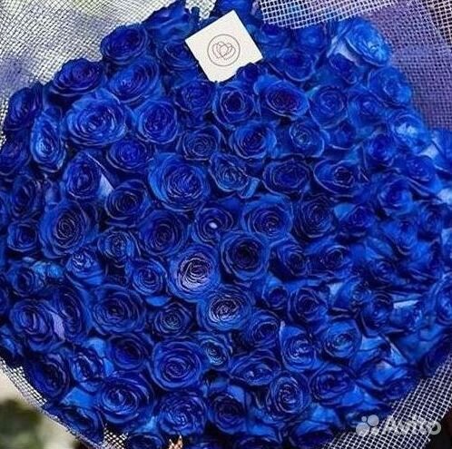 Синие розы Доставка цветов