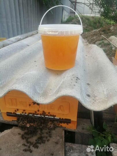 Настоящий, вкусный мёд