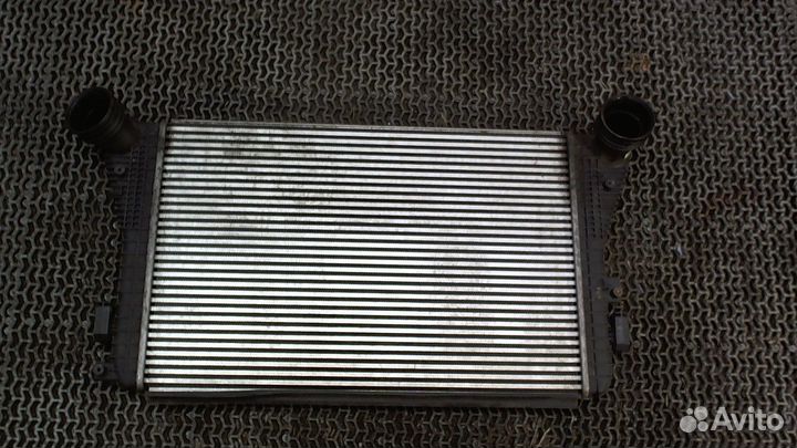 Радиатор интеркулера Volkswagen Touran, 2006