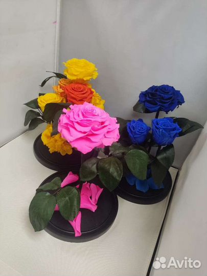 Роза в колбе оптом и в розницу