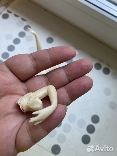 Балерина СССР