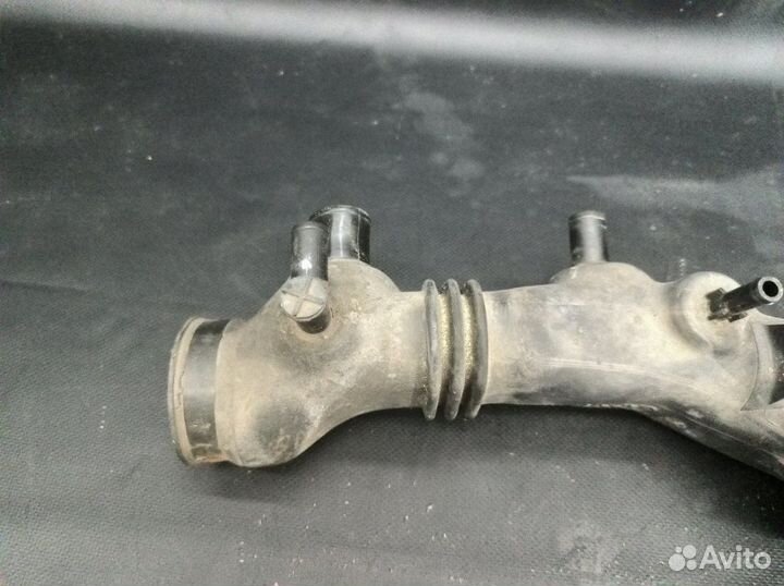 Самка Subaru Forester SF5 EJ205 2000