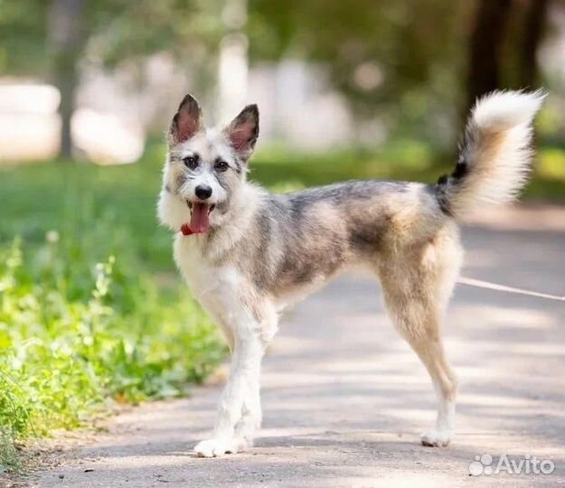 Подари мне шанс прожить жизнь в семье