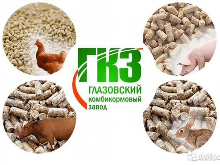 Глазовский комбикорм