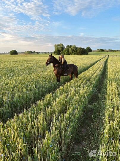 Свидание. Праздник. День рождения. Предложение