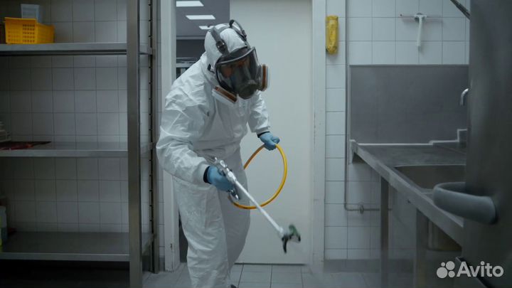 Уничтожение клопов тараканов блох мышей