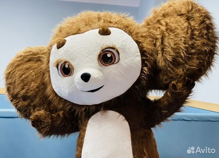 Поздравление от мишки, чебурашки