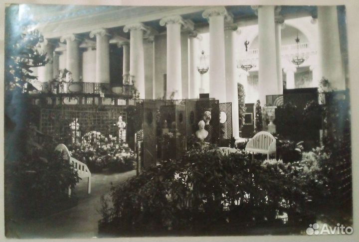 Фотографии К. Булла с выставки портретов 1905 года