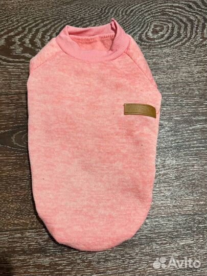 Одежда для маленьких собак