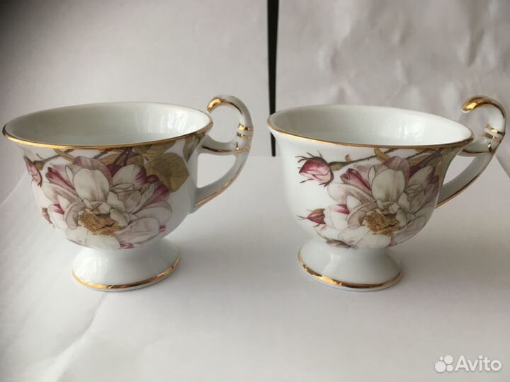 Кофейная параRoyal Porcelain Collection Briswild