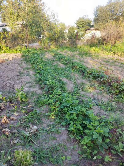 Дача 60 м² на участке 5,7 сот.