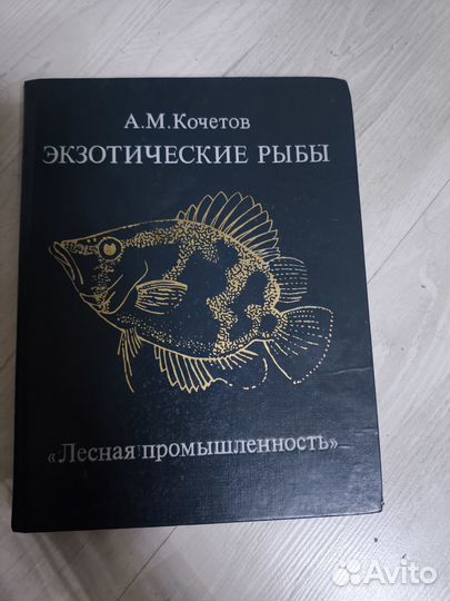 Экзотические рыбы