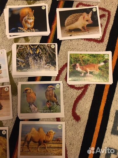 Наклейки Монетка от Урала до Ямала