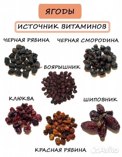 Копошилка для попугаев лакомства фрукты ягоды