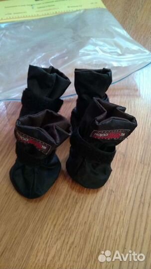 Комбинезон, башмачки для собаки