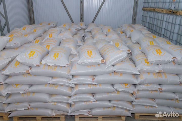 Солод Староминский ячменный пивоваренный