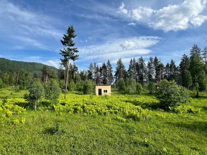 Участок 11 сот. (ИЖС)