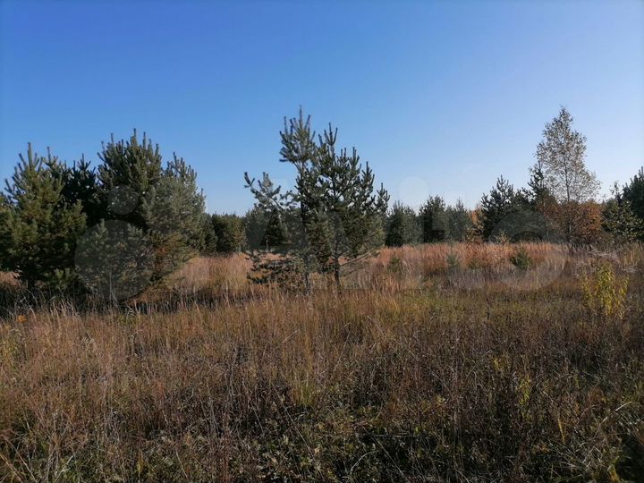 Участок 4,41 га (СНТ, ДНП)