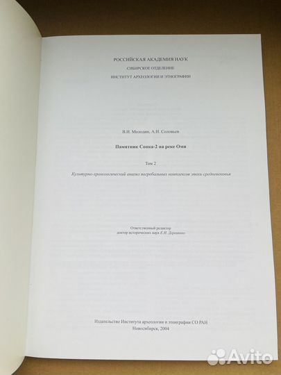Молодин В.И., Соловьев А.И. Памятник Сопка 2