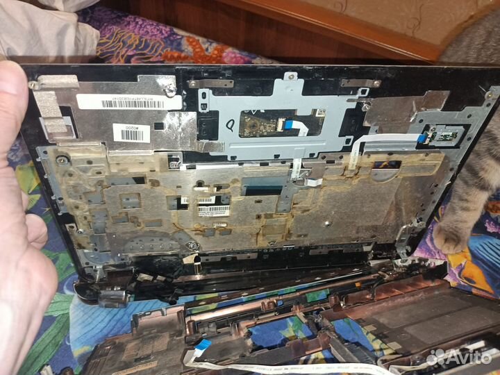 Ноутбук hp
