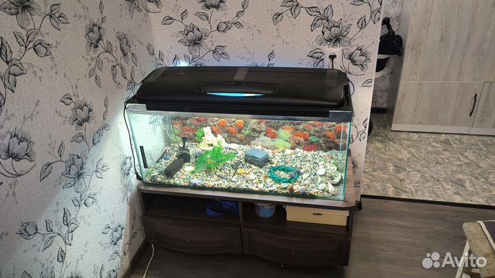 Аквариум с тумбой