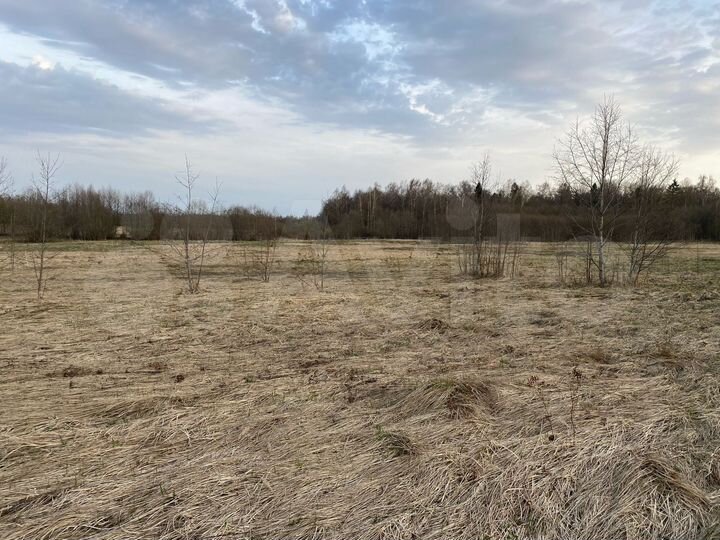 Участок 9,1 га (СНТ, ДНП)