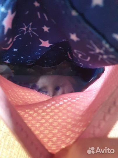 Школьный рюкзак