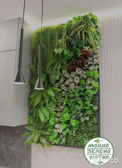 Фитокартины, фитостены, фитопотолки