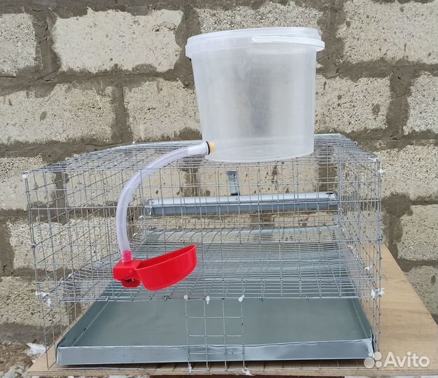 Клетка для перепелов