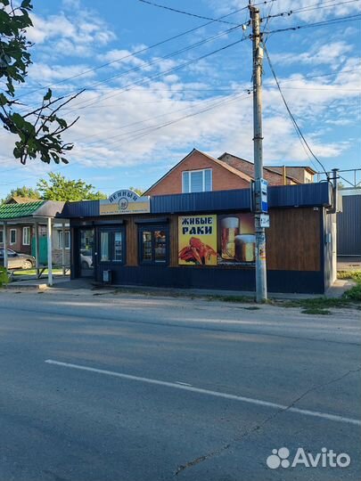 Живые раки (Свежий привоз)