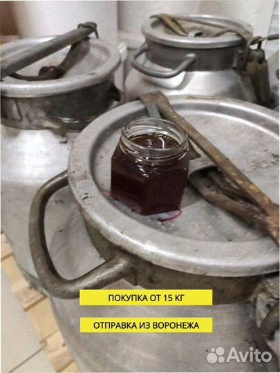 Мед оптом напрямую от производителя