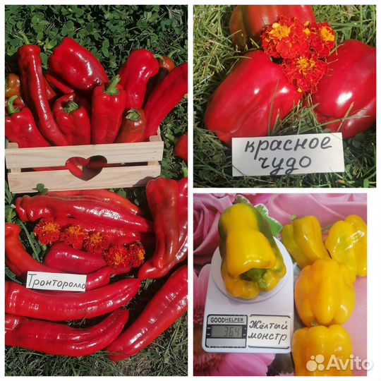 Семена сортовых перцев