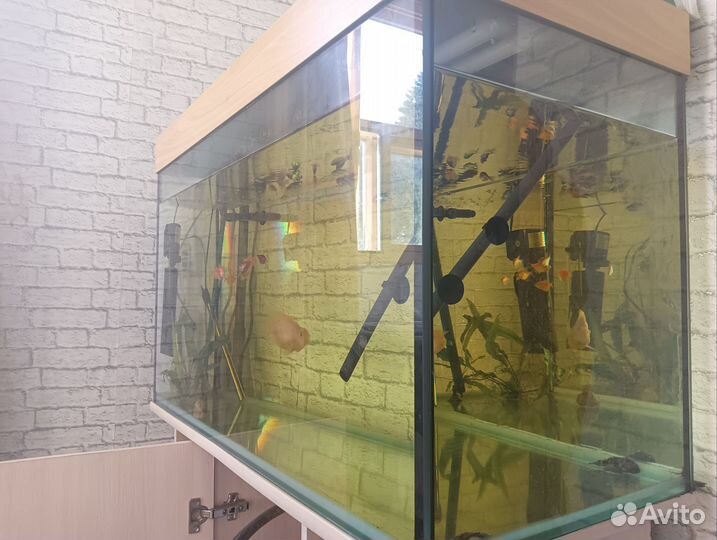 Аквариум 240 литров с тумбой