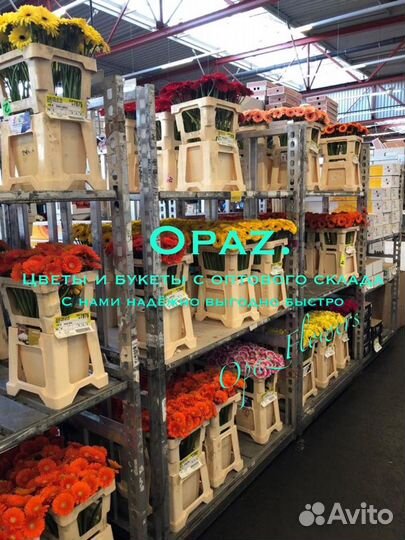 101 роза 70см Цветы с доставкой