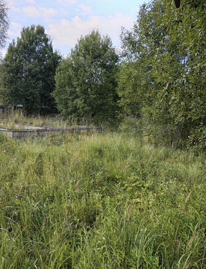 Участок 10 сот. (СНТ, ДНП)