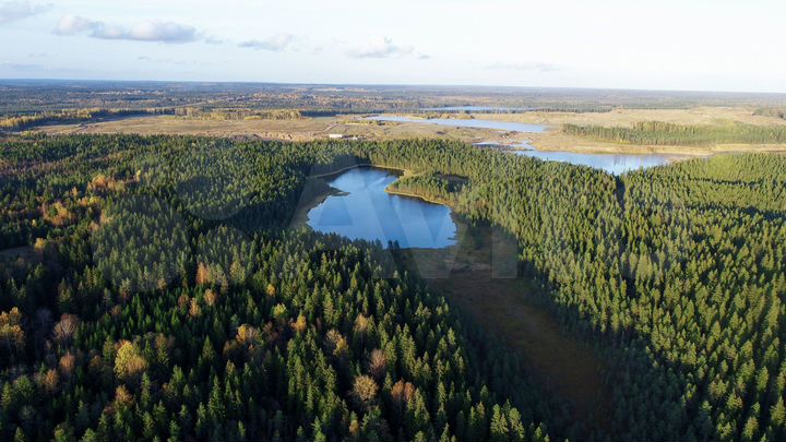 Участок 27 сот. (СНТ, ДНП)