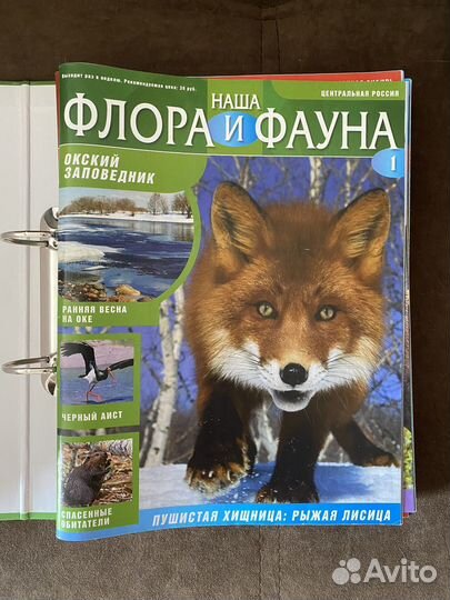 Коллекция журналов Флора и Фауна