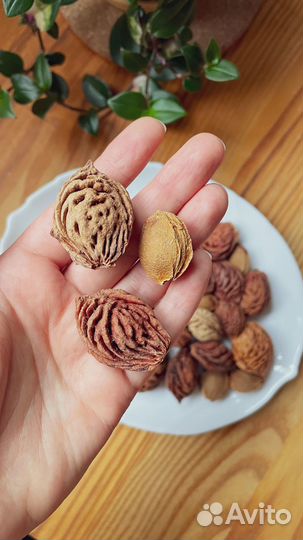 Персиковые косточки - Природные материалы