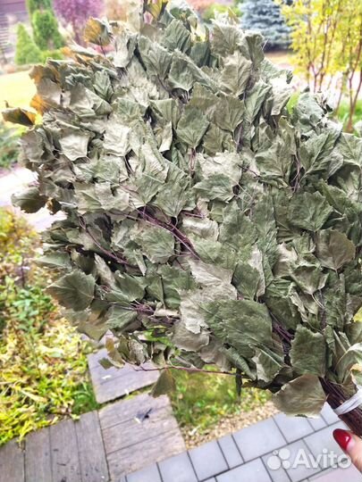 Веник дубовый и березовый