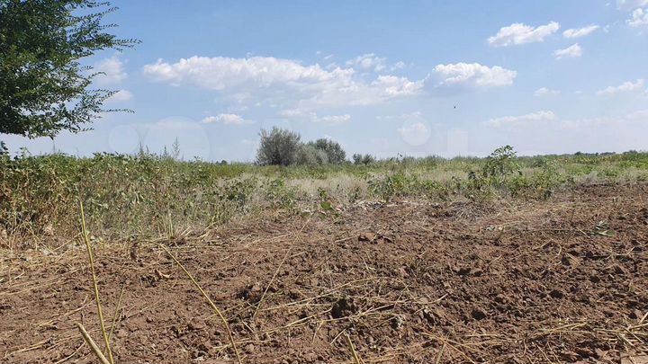 Участок 6,5 га (СНТ, ДНП)