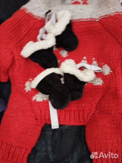 Пакет вещей для собак