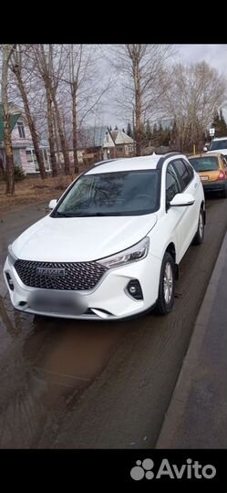 Свой человек